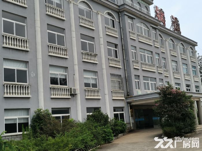 郎溪开发区6000平米(共5栋)厂房出租-图3